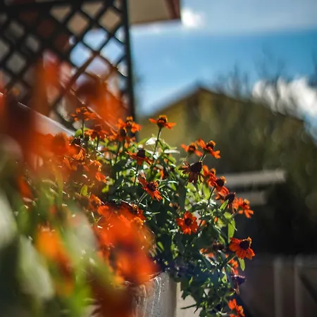 La Rocca Alojamento de Turismo Rural *