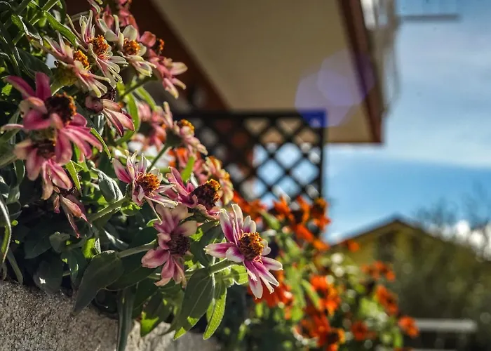 Agriturismo La Rocca Lantgård *