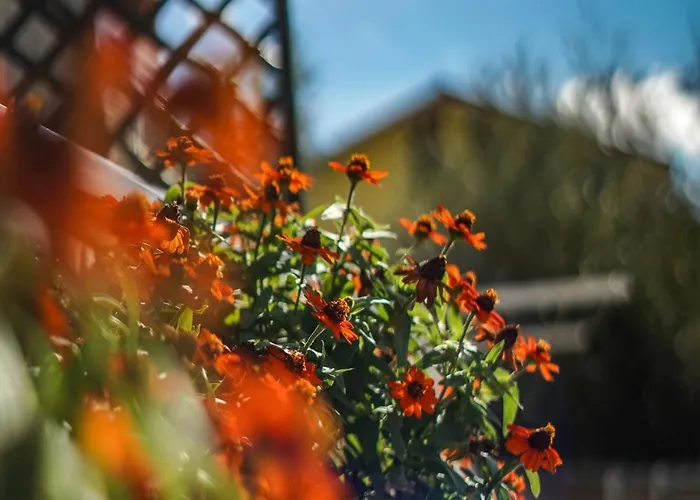 Agriturismo La Rocca Lantgård *