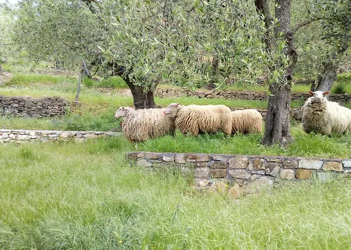 Lantgård Agriturismo La Rocca