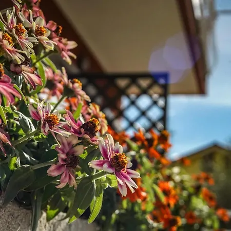 Agriturismo La Rocca Farm stay *