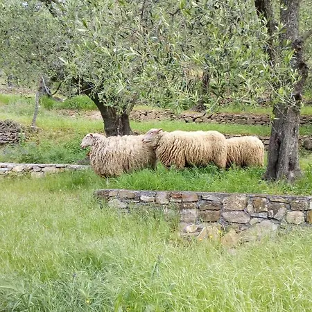 مزرعة للإقامة La Rocca