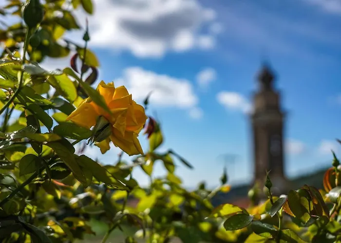 La Rocca Κατάλυμα σε φάρμα